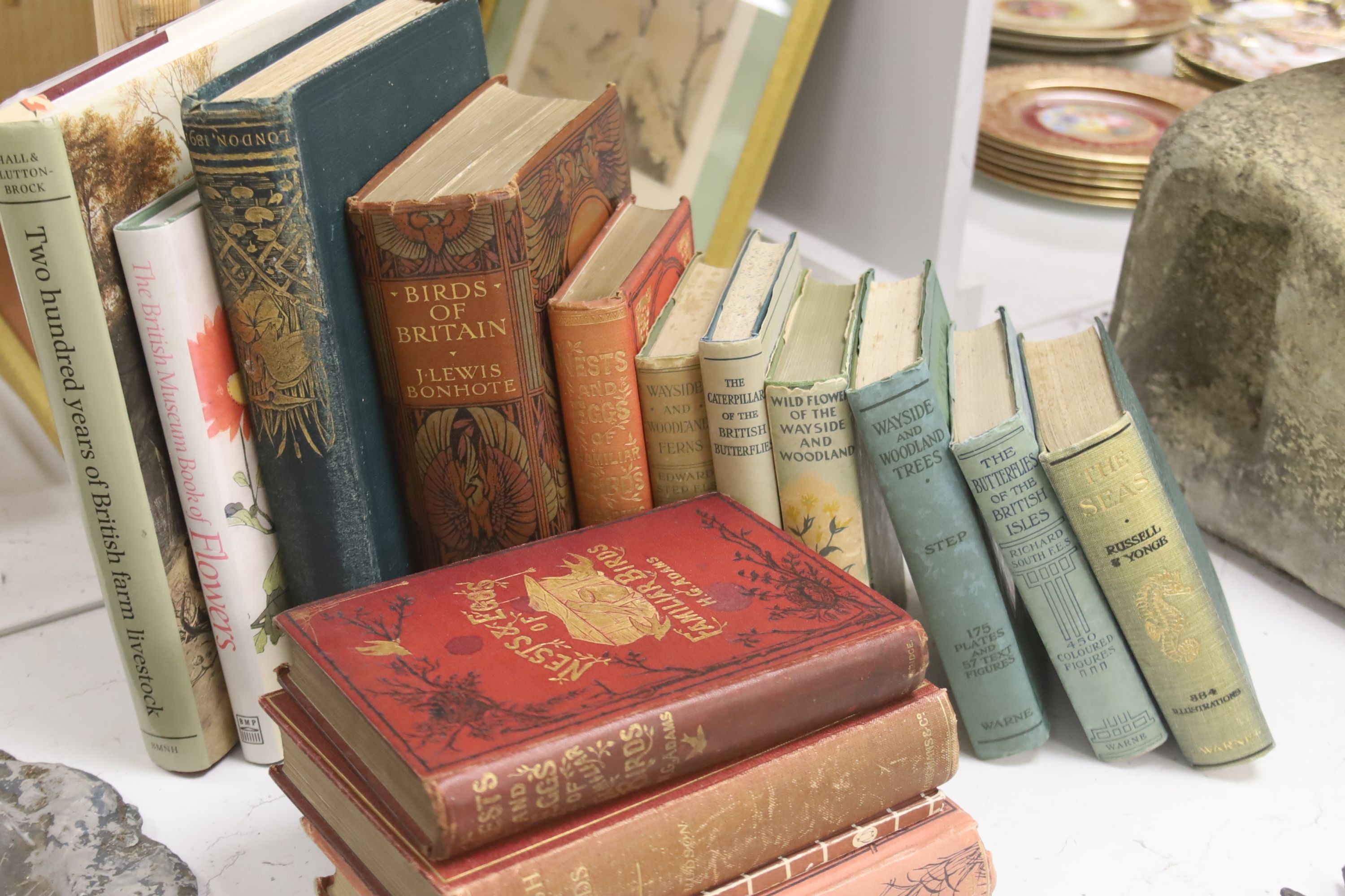 A collection of natural history books